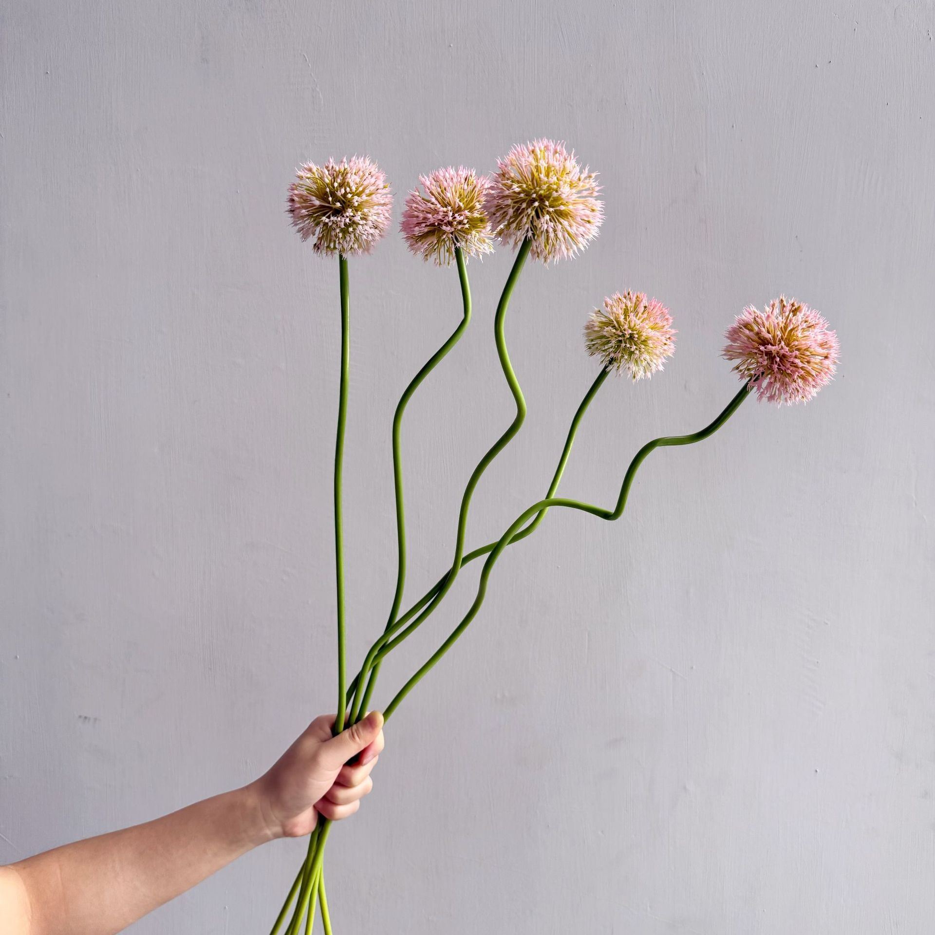 5 unidades de bolas de cebolla - Baby Nursery Decor Ideas reseña y precio